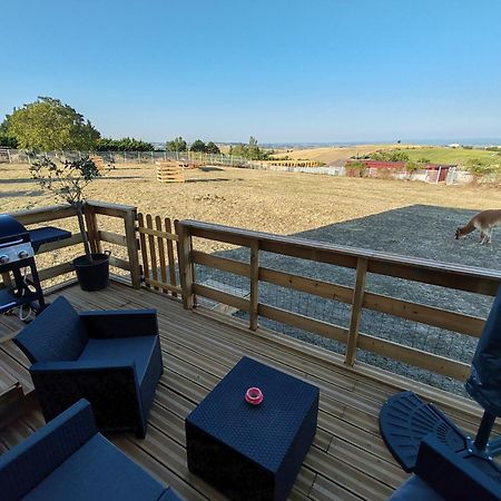 Villa Tiny House Des Bougnats Teilhede Exterior foto